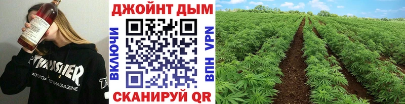 Купить закладки  Стрежевой  Шишки марихуана сатива 